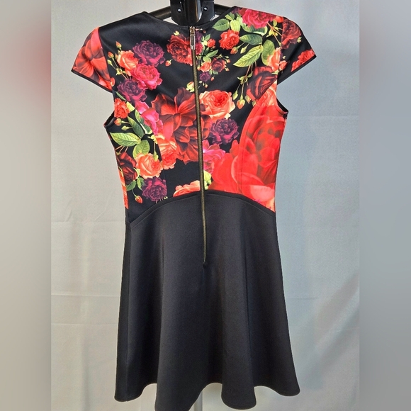 Ted Baker London Floral Xylee Designer Chic Midi Dress, Size 2 - Picture 3 of 6